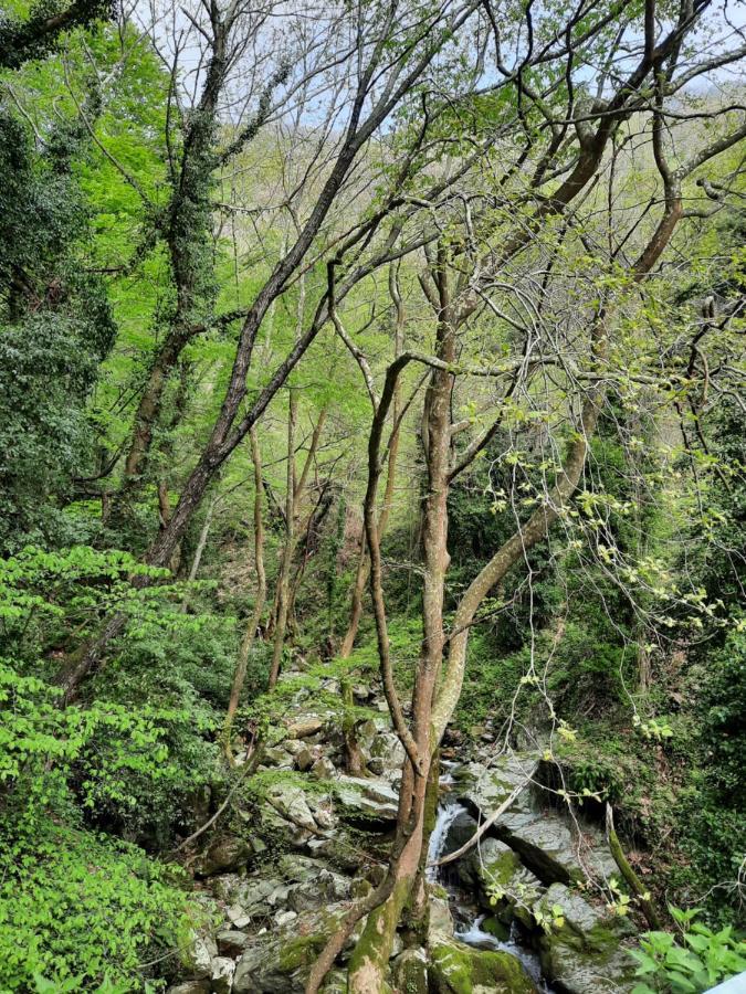 Αρχοντικό Κονάκι- Konaki Pelion Tsagarada Exterior photo